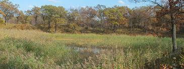 Tolleston Dunes Trail